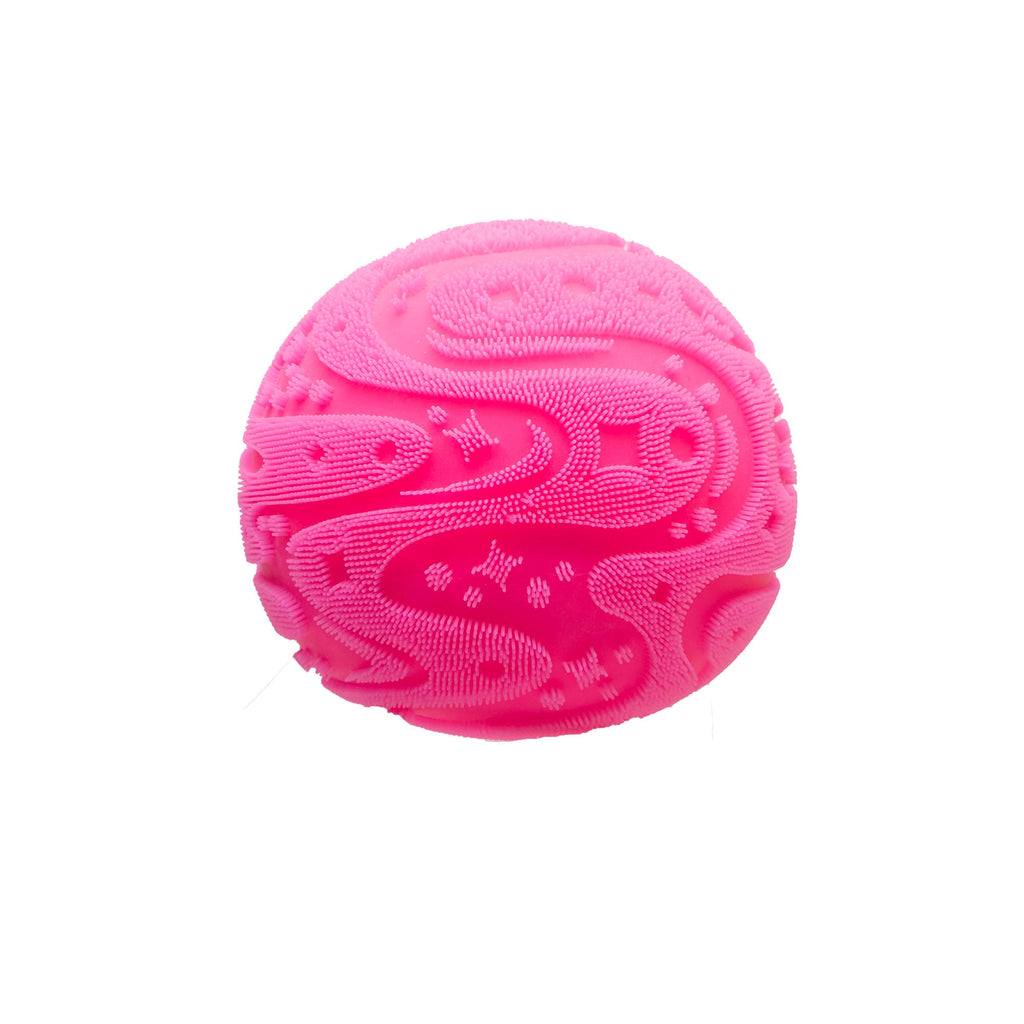 SFZBND_Image6